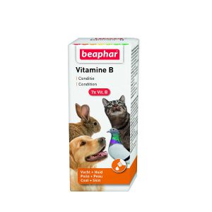 قطره ب کمپلکس ویژه حیوانات خانگی بیفار - Vitamin B Beaphar